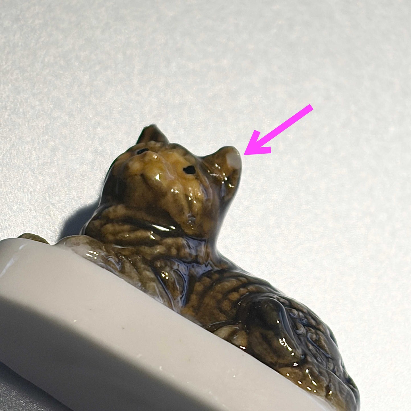 猫、私たちの友達