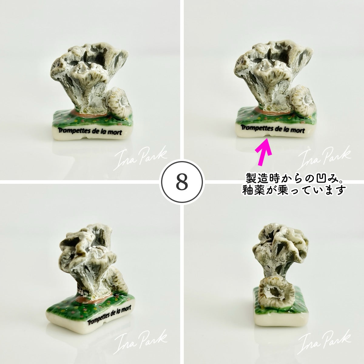 ヨーロッパの野生キノコのフェーブ