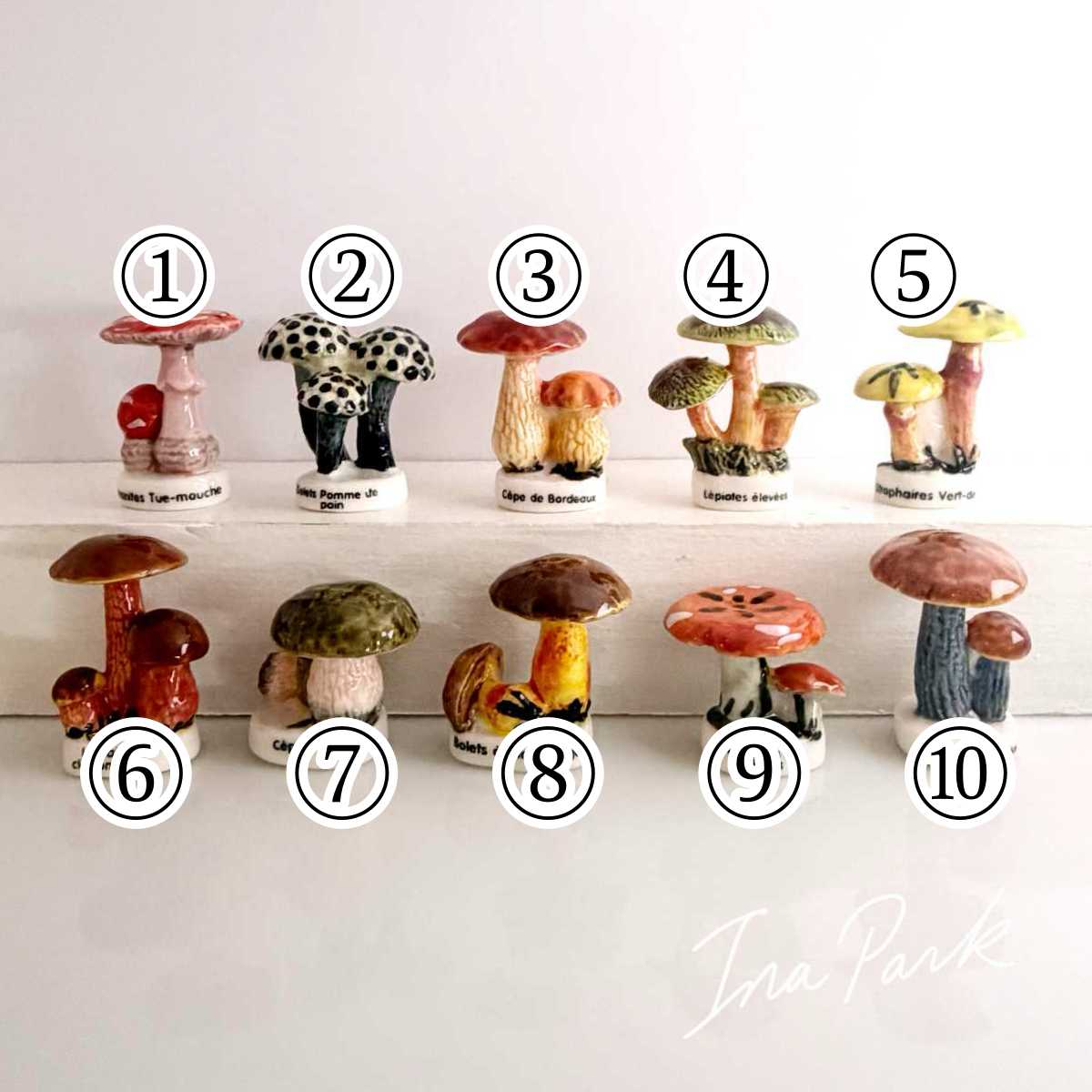 2005年　きのこの王様
