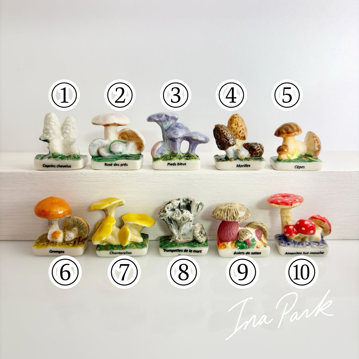 ヨーロッパの野生キノコのフェーブ
