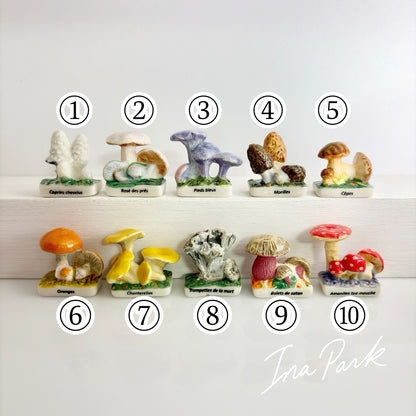 ヨーロッパの野生キノコのフェーブ