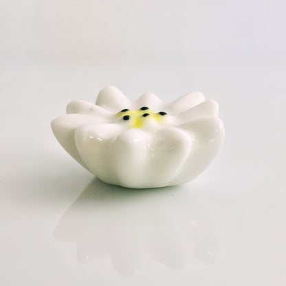 エーデルワイスの花のフェーブ