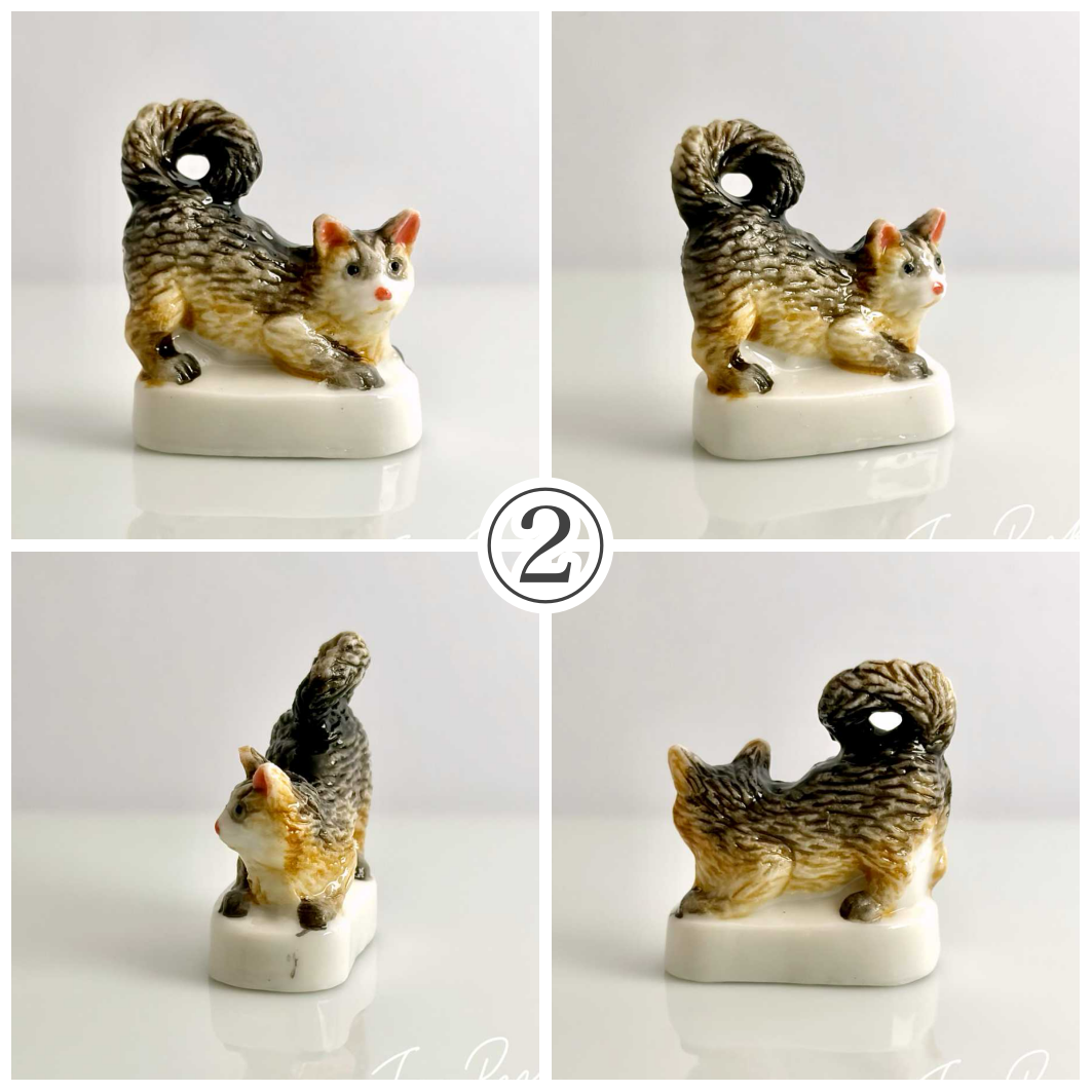 猫、私たちの友達