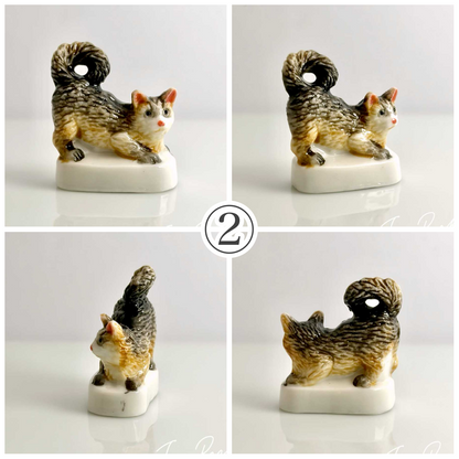 猫、私たちの友達