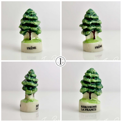 樹木のフェーヴ　森林再生