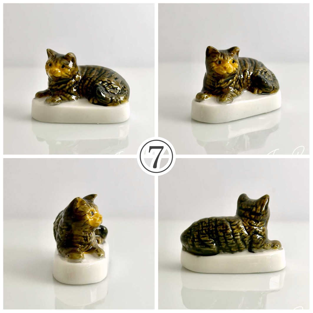 猫、私たちの友達