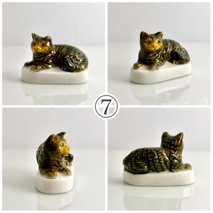 猫、私たちの友達