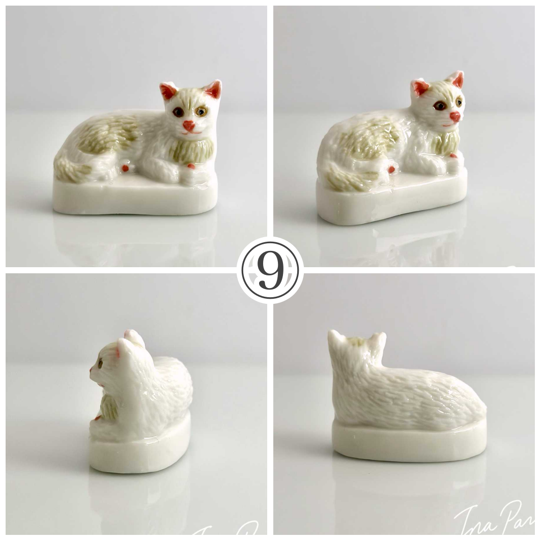 猫、私たちの友達