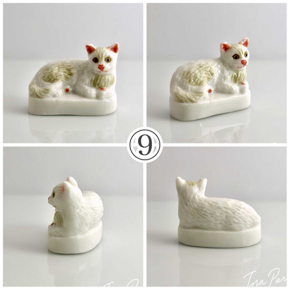 猫、私たちの友達