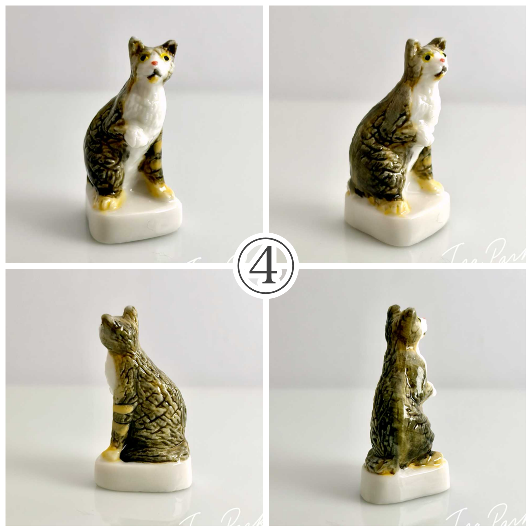 猫、私たちの友達