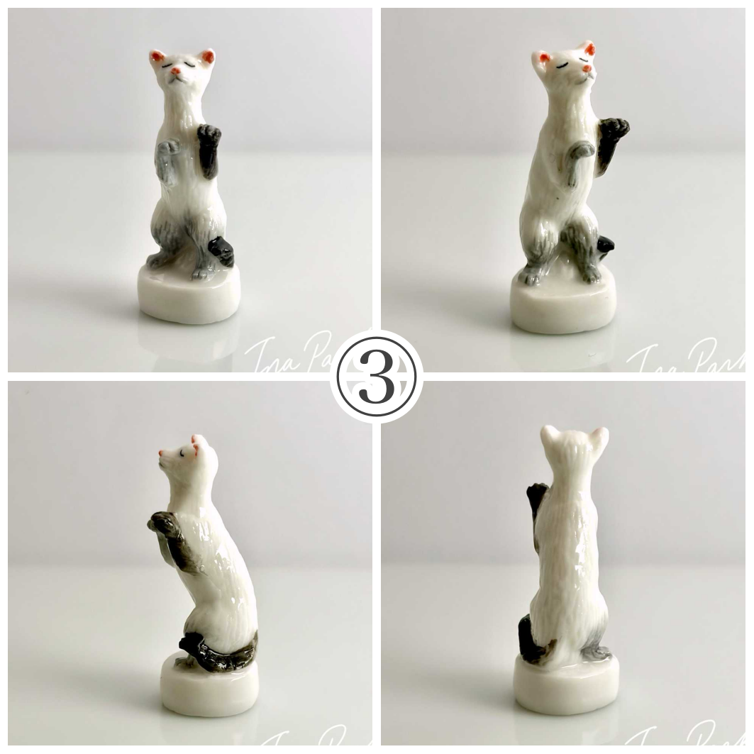 猫、私たちの友達