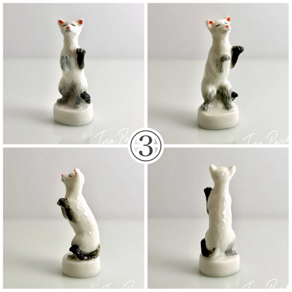 猫、私たちの友達