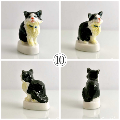 猫、私たちの友達